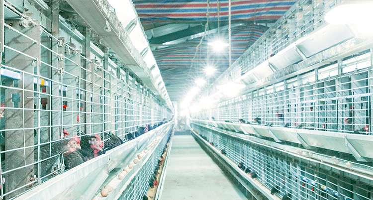 濟寧鑫欣超聲電子設備有限公司